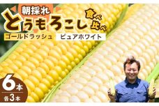 とうもろこし ゴールドラッシュ ピュアホワイト 食べ比べ 6本セット | トウモロコシ コーン 白とうもろこし 黄色とうもろこし 白黄色 夏野菜 野菜 採れたて 朝採れ 新鮮 アップヒルファーム 埼玉県 所沢市
