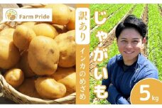 【訳あり】Farm Prideが育てた じゃがいも インカのめざめ 5kg | じゃがいも インカのめざめ 野菜 料理 サラダ ポテトサラダ 素揚げ ポテトチップス 産地直送 株式会社farmpride 埼玉県 所沢市