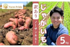 【訳あり】Farm Prideが育てた じゃがいも ノーザンルビー 5kg | じゃがいも ノーザンルビー 野菜 料理 サラダ シチュー ニョッキ ポテトチップス 産地直送 株式会社farmpride 埼玉県 所沢市