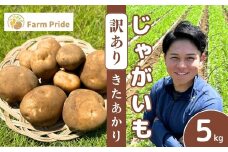 【訳あり】Farm Prideが育てた じゃがいも きたあかり 5kg | じゃがいも きたあかり キタアカリ 野菜 料理 コロッケ ポテトサラダ 産地直送 株式会社farmpride 埼玉県 所沢市