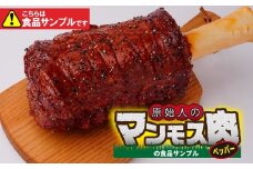 食品サンプル 原始人のマンモス肉 (ペッパー) | 食品サンプル マンモス肉 インテリア 飾り 置物 お肉 骨付き アート 贈答 贈り物 お土産 プレゼント おすすめ 人気 FAKE FOOD HATANAKA 畑中 埼玉県 所沢市