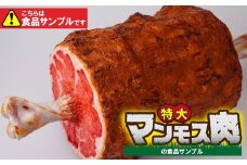 食品サンプル 特大！マンモス肉 | 食品サンプル インテリア 飾り 置物 お肉 骨付き アート 贈答 贈り物 お土産 プレゼント おすすめ 人気 FAKE FOOD HATANAKA 畑中 埼玉県 所沢市