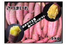 ≪飯能産≫さつまいも おまかせ2種食べ比べセット[52210208]