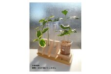 Laboratory Magnet System Colab A[52210254]
