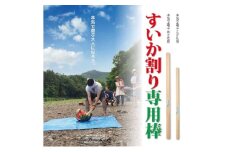 日本すいか割り推進協会公認「すいか割り専用棒」 [52210976]