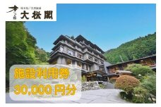 【名栗温泉大松閣】施設利用券30,000円分[52211000]