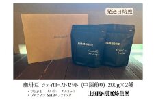 【上田珈琲豆焙煎堂】珈琲豆 中深煎り セット 200g×2種 セット ブラジルブルボン・グアテマラSHB【豆】  [52210994]