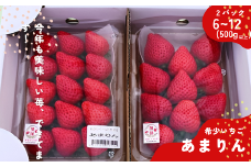 埼玉生まれの希少いちご『あまりん2パック入り』（1パック6～12粒、2パックの合計500ｇ以上）【潰れが気にならない方限定】