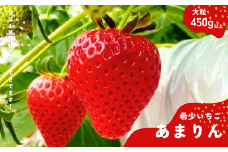 埼玉生まれの希少いちご『あまりん　大粒』（450ｇ以上）【潰れが気にならない方限定】