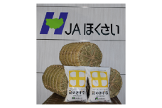 【令和６年産】加須市産　彩のきずな　精米10kg