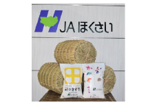 【令和６年産】加須市産　彩のかがやき・彩のきずな　精米10kg（各5 kg）