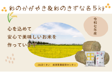 【令和７年産】加須市産　彩のかがやき・彩のきずな　精米10kg（各5 kg）