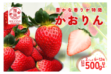 埼玉生まれの希少いちご『かおりん』2パック（計500g以上）【潰れが気にならない方限定】
