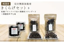 純国産・有機栽培・完全無添加栽培　きくらげセットB（乾燥ブロック＋千切＋薬膳煮（スタンダード＋ゆず七味）