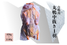 合鴨肉 丸鴨中抜き１羽（冷凍）850g～1100g
