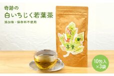 白いちじく茶（３袋）/農薬・化学肥料不使用/ファーストフラッシュ																										