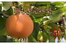 期間限定　朝もぎ完熟梨　豊水梨５kg（７～９個）