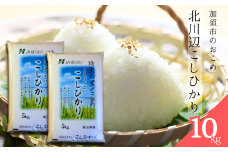 【令和６年産】北川辺こしひかり　精米10㎏