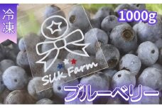 シルクファーム産　粒ぞろいの冷凍ブルーベリー1000g（500g×2パック）