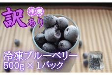 【訳あり】シルクファーム産　冷凍ブルーベリー　500g