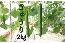 新鮮きゅうり2kg【特別栽培農産物】