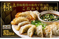 極上等級獲得の豚肉で作った拘りの肉餃子【希少豚！花咲豚スーパーナイン100％使用】：10個入× 2パック