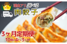 【定期便_３ヶ月】【訳あり】肉汁溢れる冷凍肉餃子の定期便：4パック（計12パック）　▶ 【餃子】【中華】国産豚肉 餃子  ｷﾞｮｳｻﾞ 中華料理 ｷﾞｮｰｻﾞ 冷凍 餃子 【中華総菜】 ぎょうざ 町中華 ビール と 餃子 生 餃子　定期便