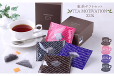 TEA MOTIVATION 紅茶 ギフト 4種 22包