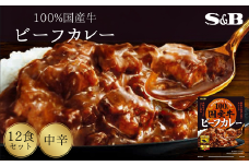 「S&B」国産牛ビーフカレー（中辛）170g×12個 【S&B】SB 国産牛100％ お手軽 レンジ対応 湯煎 簡単調理 楽ちん おかず 夕食 中辛 グルメ レトルト エスビー 食品 埼玉県 加須市 加須 お取り寄せ 返礼品 ふるさと納税  送料無料 送料込み