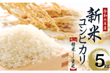 【令和７年産】　水野農園の加須市北川辺産　コシヒカリ　5㎏　《選べる！精米or玄米》｜お米　新米　米　令和７年　こしひかり