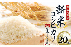 【令和７年産】　水野農園の加須市北川辺産　コシヒカリ　20㎏　《選べる！精米or玄米》｜お米　新米　米　令和７年　こしひかり