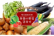 季節の野菜詰合せ 本庄産 旬 野菜 セット 詰合せ ご当地 生鮮品 食品 関東 F5K-108