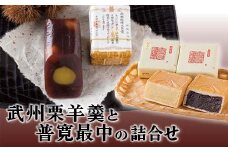 武州栗羊羹と普寛最中の詰合せ ご当地 菓子 銘菓 和菓子 栗 ようかん もなか セット 詰合せ お茶菓子 お茶請け 御菓子司せきね 食品 関東 F5K-537