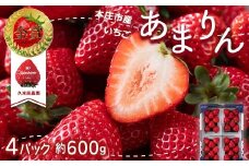 TVで紹介され話題のいちご！＜埼玉県 本庄市産 ＞ 久米原農園 あまりん 小4パック 約600g (約150g × 4パック) いちご イチゴ 苺 ストロベリー ご当地 本庄市産 果物 くだもの フルーツ デザート 食品 関東 F5K-051