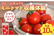 ≪先着10組≫ ミニトマト収穫体験　(お土産 トマトジュース付き) ファームサイド 野菜 やさい トマト もぎたて 体験 収穫 農業 子供 大人 期間 数量 限定 埼玉県 本庄市 F5K-378
