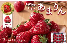 ＜先行予約＞あまりん（250g × 2パック）【2025年3月発送】 本庄市産 久米原農園 新品種 いちご イチゴ 苺 ストロベリー 果物 くだもの フルーツ デザート 埼玉県 本庄市 関東 F5K-390