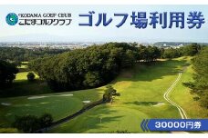 こだまゴルフクラブ ゴルフ場利用券 30000円券 ゴルフ チケット 平日 土日 祝日 関東 埼玉県 本庄市 首都圏 F5K-505