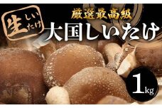 厳選最高級 生しいたけ『大国しいたけ』 1kg F5K-529