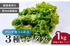 ＜洗わず食べられる・室内水耕栽培＞ 3種のレタス 各500g×2パック 1kg | レタス フリルレタス グリーンリーフ グリーンオーク 減農薬 新鮮 オーガニック野菜 室内栽培 清潔 野菜直送 フレッシュ サラダ用 健康志向 産地直送 緑黄色野菜 埼玉県 東松山市