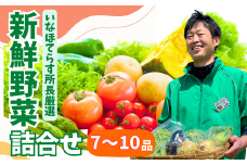 季節の野菜詰合せセット 7~10品 | 野菜 野菜セット 詰め合わせ 季節 旬 新鮮野菜 かぶ レタス キャベツ のらぼう菜 トマト オクラ 玉ねぎ ニンニク きゅうり ナス ニンジン ネギ ズッキーニ インゲン バラエティ バラエティーセット おいしい 美味しい うまい 旨い 自然 東松山市 埼玉県