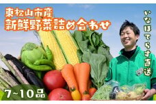 季節の野菜詰合せセット 7~10品 | 野菜 野菜セット 詰め合わせ 季節 旬 新鮮野菜 かぶ レタス キャベツ のらぼう菜 トマト オクラ 玉ねぎ ニンニク きゅうり ナス ニンジン ネギ ズッキーニ インゲン バラエティ バラエティーセット おいしい 美味しい うまい 旨い 自然 東松山市 埼玉県
