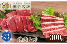 ＜国産牛＞焼肉セット 部位お任せ 300g | 国産牛 国産 牛肉 焼肉 お肉 バーベキュー 三角バラ トモサンカク 上カルビ バラカルビ イチボ シンタマ ウチモモ ミスジ  おまかせ セット 冷凍 クール 焼肉セット バーベキュー BBQ グリル プレミアム お取り寄せ 美味しい おすすめ フレッシュ 真空 おうち焼肉 ギフト 贈り物 家族の食卓 国分牧場 埼玉県 東松山市