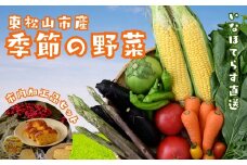 東松山市産季節の野菜と市内産加工品詰合せセット | 野菜 野菜セット 詰め合わせ 季節 旬 新鮮野菜 かぶ レタス キャベツ のらぼう菜 トマト オクラ 玉ねぎ ニンニク きゅうり ナス ニンジン ネギ ズッキーニ インゲン バラエティ バラエティーセット 梨ゼリー パウンドケーキ せんべい おいしい 美味しい うまい 旨い 自然 いなほてらす 埼玉県 東松山市