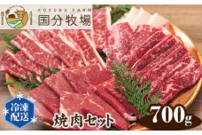 ＜国産牛＞ 焼肉セット 700g | 国産牛 国産 牛肉 焼肉 お肉 バーベキュー 三角バラ トモサンカク 上カルビ バラカルビ イチボ シンタマ ウチモモ ミスジ  おまかせ セット 冷凍 クール 焼肉セット バーベキュー BBQ グリル プレミアム お取り寄せ 美味しい おすすめ フレッシュ 真空 おうち焼肉 ギフト 贈り物 家族の食卓 国分牧場 埼玉県 東松山市