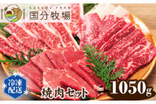 ＜国産牛＞焼肉セット 1,050g | 国産牛 国産 牛肉 焼肉 お肉 バーベキュー 三角バラ トモサンカク 上カルビ バラカルビ イチボ シンタマ ウチモモ ミスジ  おまかせ セット 冷凍 クール 焼肉セット バーベキュー BBQ グリル プレミアム お取り寄せ 美味しい おすすめ フレッシュ 真空 おうち焼肉 ギフト 贈り物 家族の食卓 国分牧場 埼玉県 東松山市
