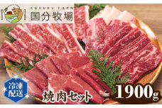＜国産牛＞焼肉セット 1,900g | 国産牛 国産 牛肉 焼肉 お肉 バーベキュー 三角バラ トモサンカク 上カルビ バラカルビ イチボ シンタマ ウチモモ ミスジ  おまかせ セット 冷凍 クール 焼肉セット バーベキュー BBQ グリル プレミアム お取り寄せ 美味しい おすすめ フレッシュ 真空 おうち焼肉 ギフト 贈り物 家族の食卓 国分牧場 埼玉県 東松山市
