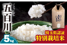 【先行予約/8月中旬から順次発送】米 令和7年産 五百川(ごひゃくがわ) 5kg | 米 お米 ライス 白米 こめ 5キロ 5㎏  5キログラム 埼玉県産 ごはん ご飯 五百川 令和7年 R7年 2025年 特別栽培米 粘り 甘み あっさり おすすめ オススメ 埼玉県 東松山市 マッキーズファーム