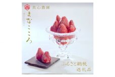 まなこころ・冷凍いちご　1kg　1袋  ｜ 埼玉県 東松山市 冷凍いちご まなこころ 1㎏いちご 大容量 国産冷凍 おやつ デザート 冷凍果物 まとめ買い あまい 真心農園 フレッシュ 高品質  ギフト プレゼント 旬のもの  果物 ビタミン おいしい 美味しい 旬 フルーツ 国産 イチゴ 苺 