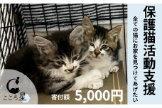 【お礼の品なし】保護猫活動支援〜野良猫から地域で見守るさくら猫に〜 寄付額5,000円 | 猫 保護猫 保護猫活動 動物愛護 野良猫 里親 特定非営利活動法人 NPO法人 こころ星 埼玉県 東松山市