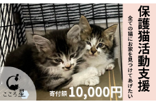 【お礼の品なし】保護猫活動支援〜野良猫から地域で見守るさくら猫に〜 寄付額10,000円 | 猫 保護猫 保護猫活動 動物愛護 野良猫 里親 特定非営利活動法人 NPO法人 こころ星 埼玉県 東松山市